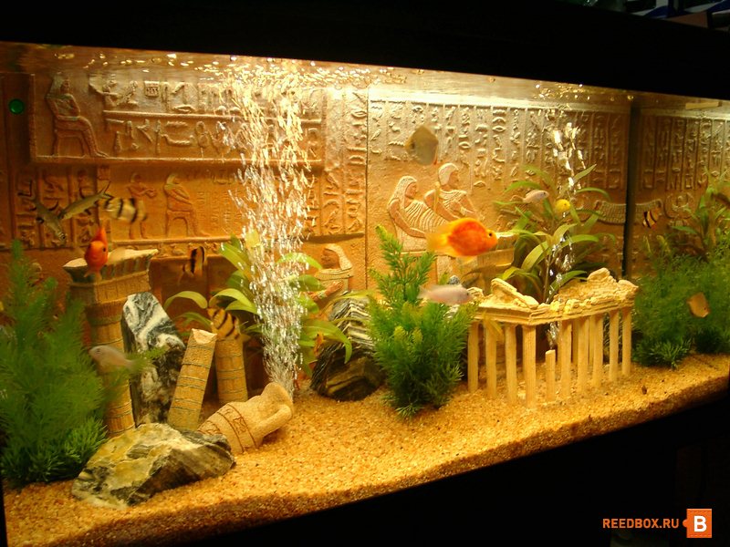 Где купить аквариум в Красноярске
