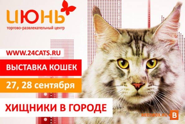 Выставка кошек в ТРЦ Июнь в Красноярске