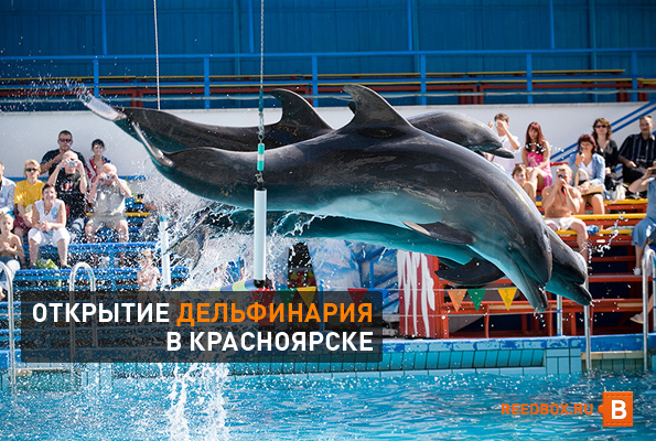 дельфинарий в Красноярске 2014